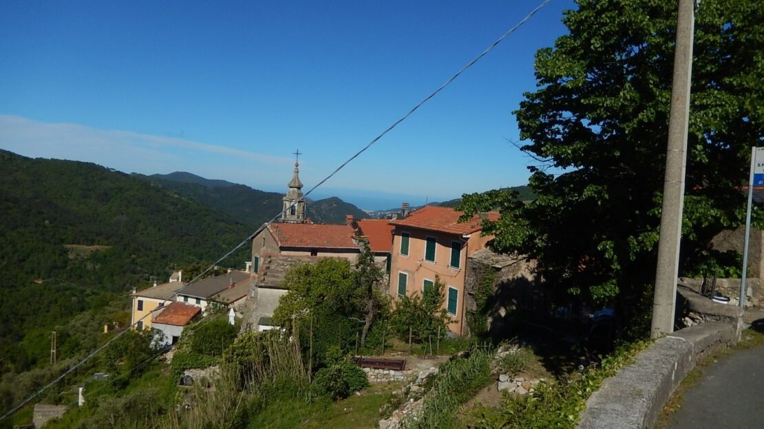 Immagine video