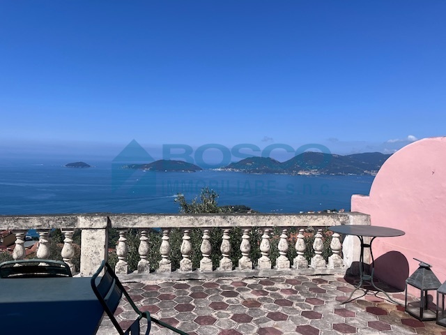 Immagine video