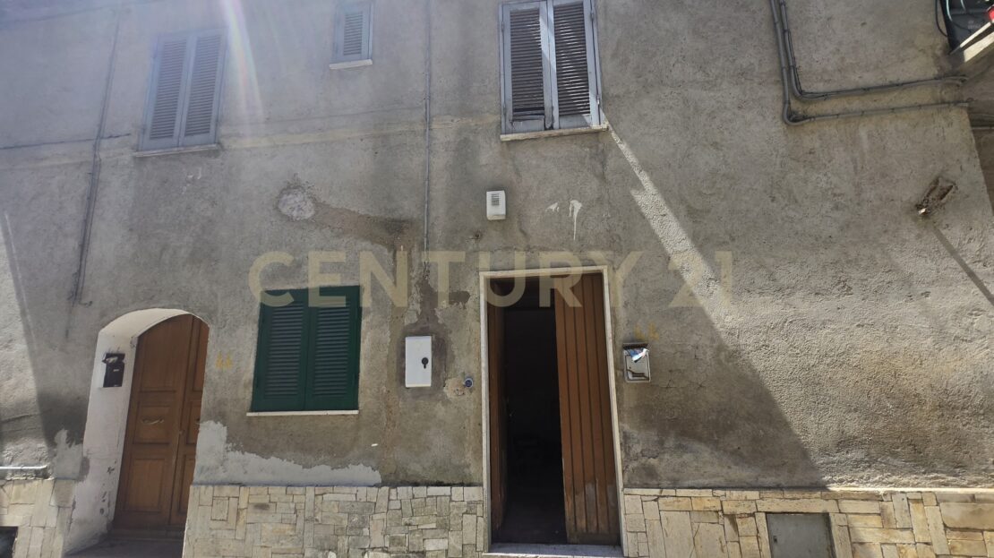 Immagine video