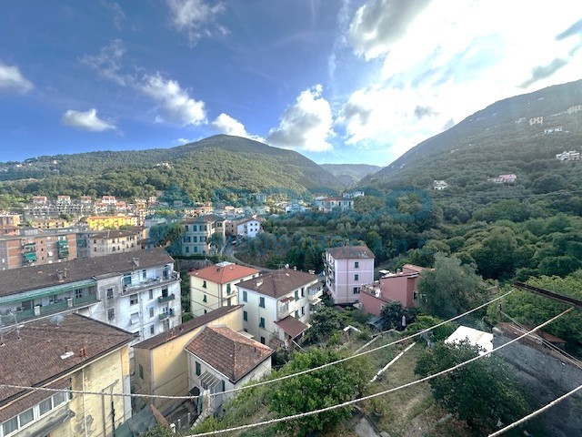 Immagine video