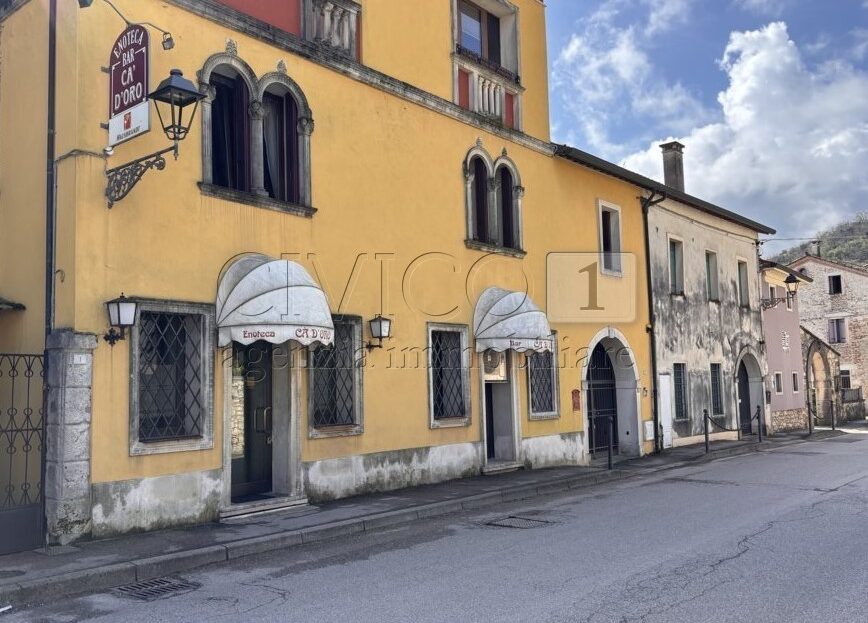 Immagine video