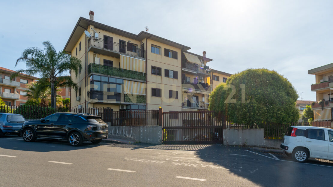 Immagine video