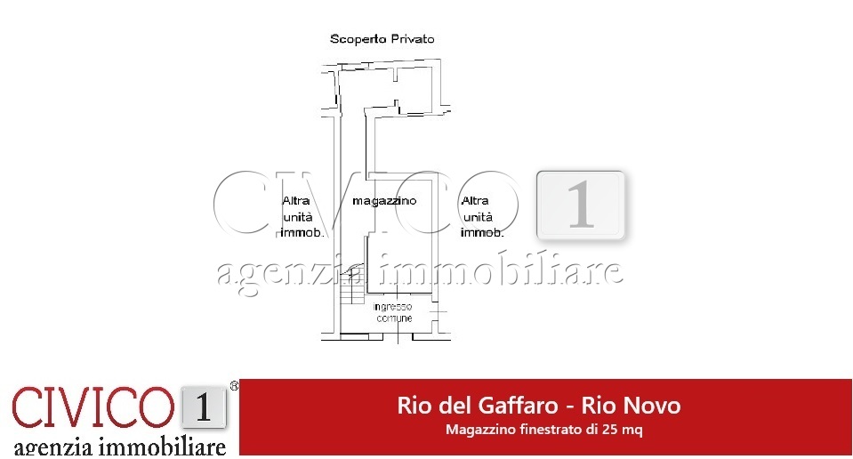 Immagine video