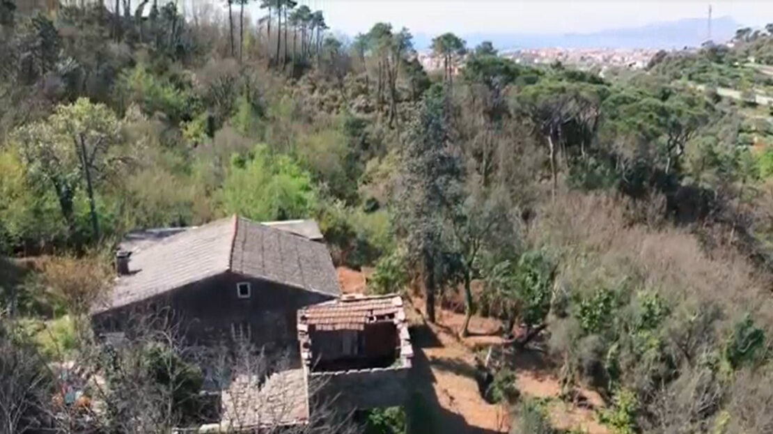 Immagine video