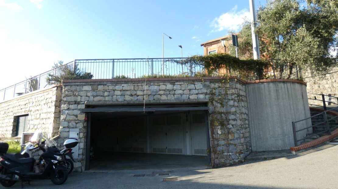 Immagine video
