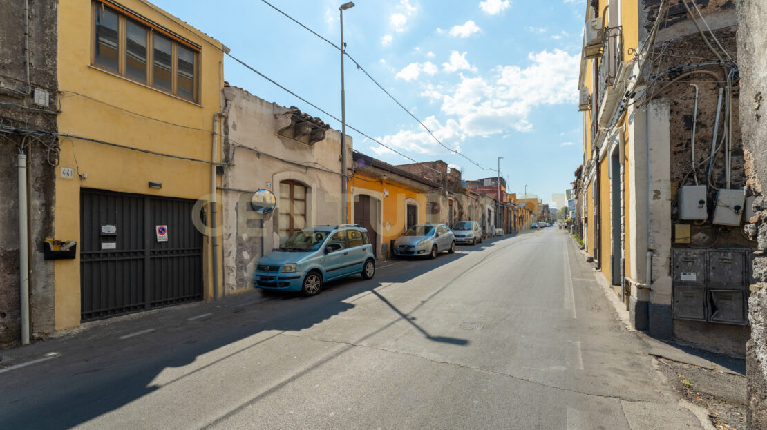 Immagine video