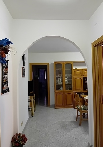 Immagine video