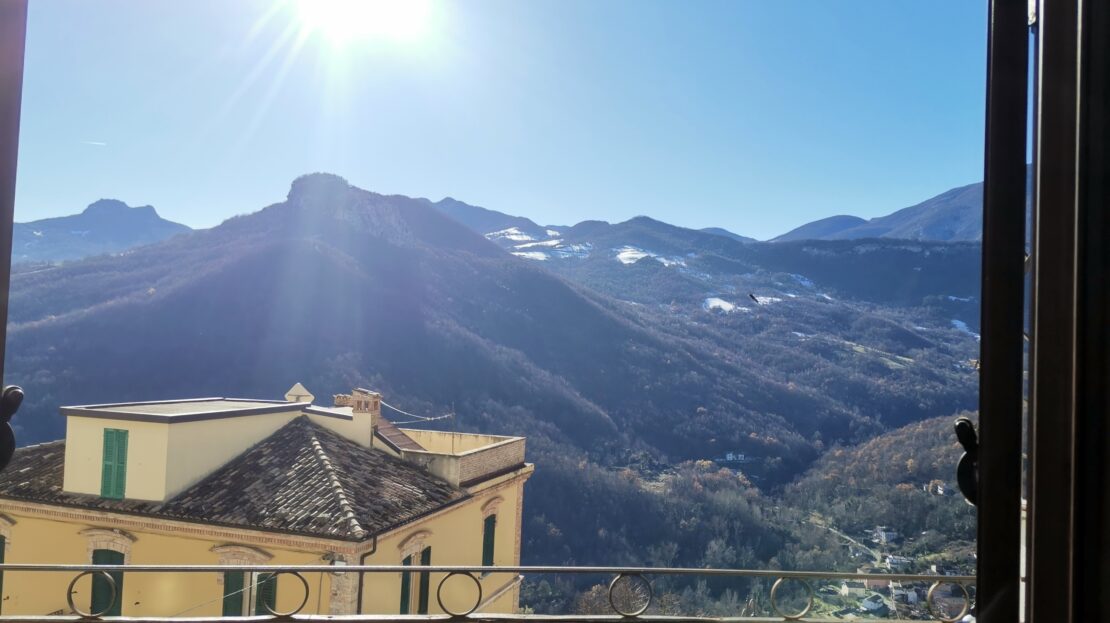 Immagine video