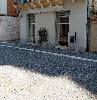 Immagine video