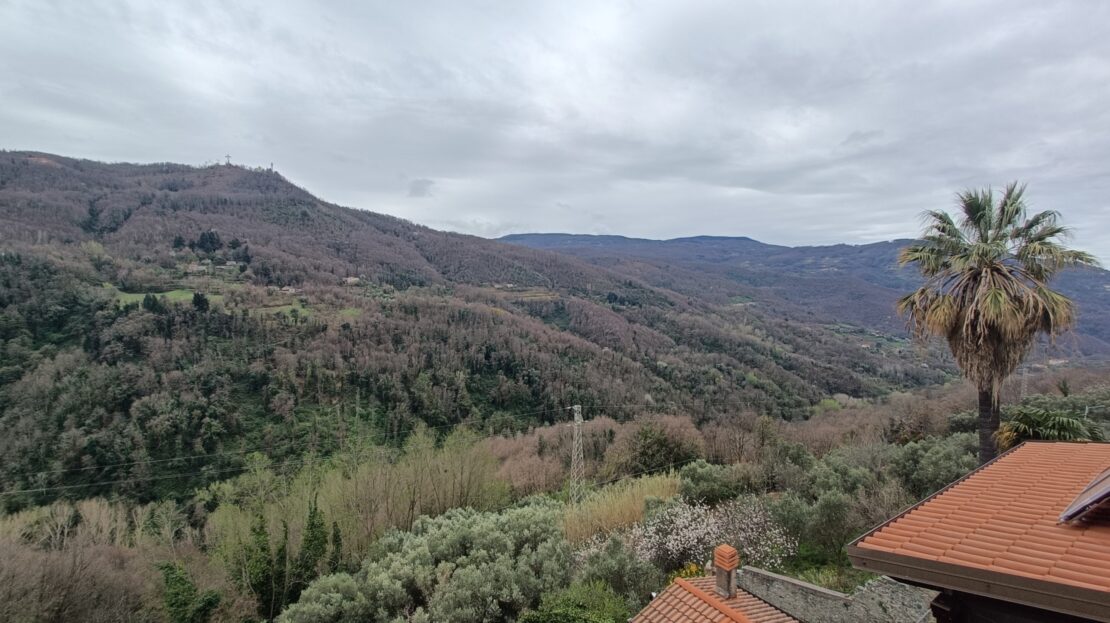 Immagine video