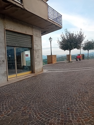 Immagine video