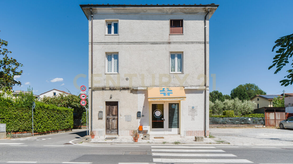 Immagine video