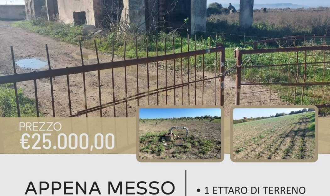 Immagine video