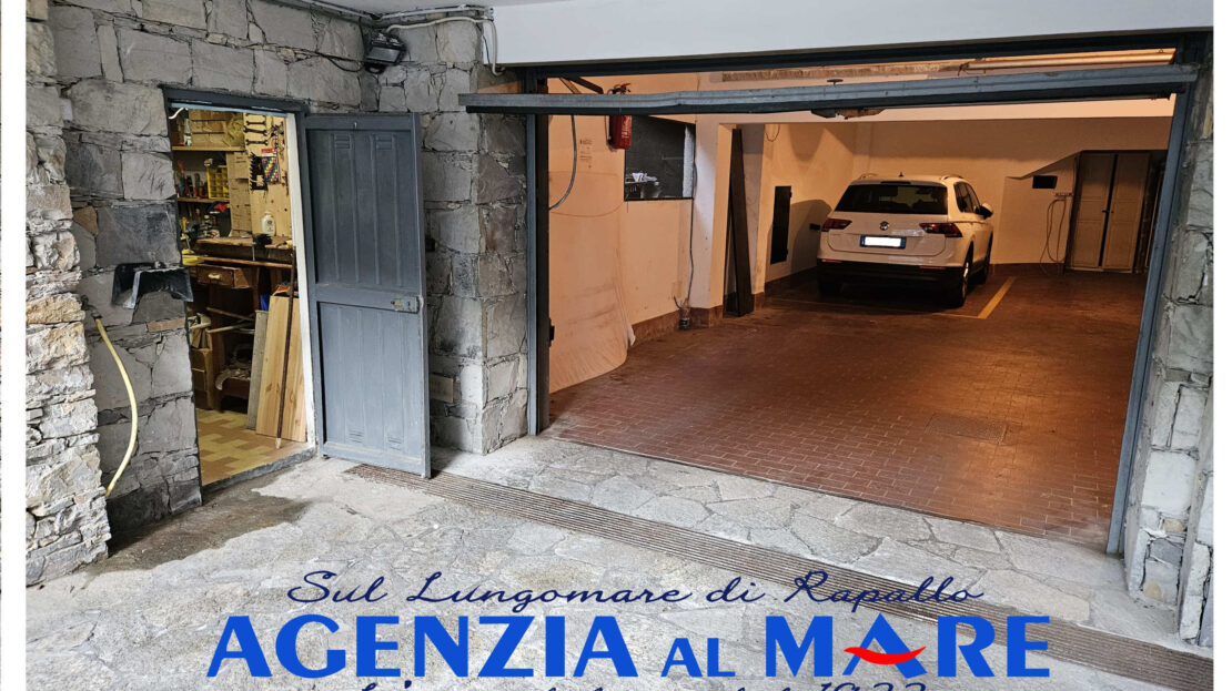 Immagine video