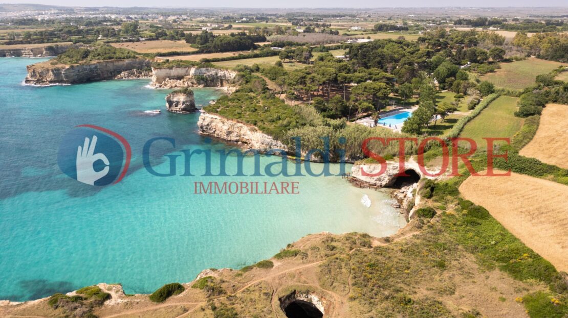 Immagine video