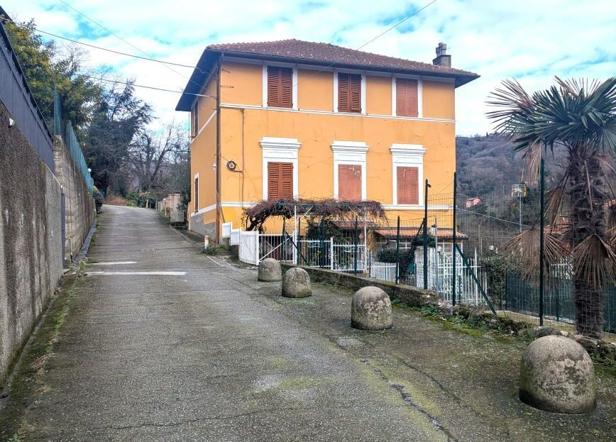 Immagine video