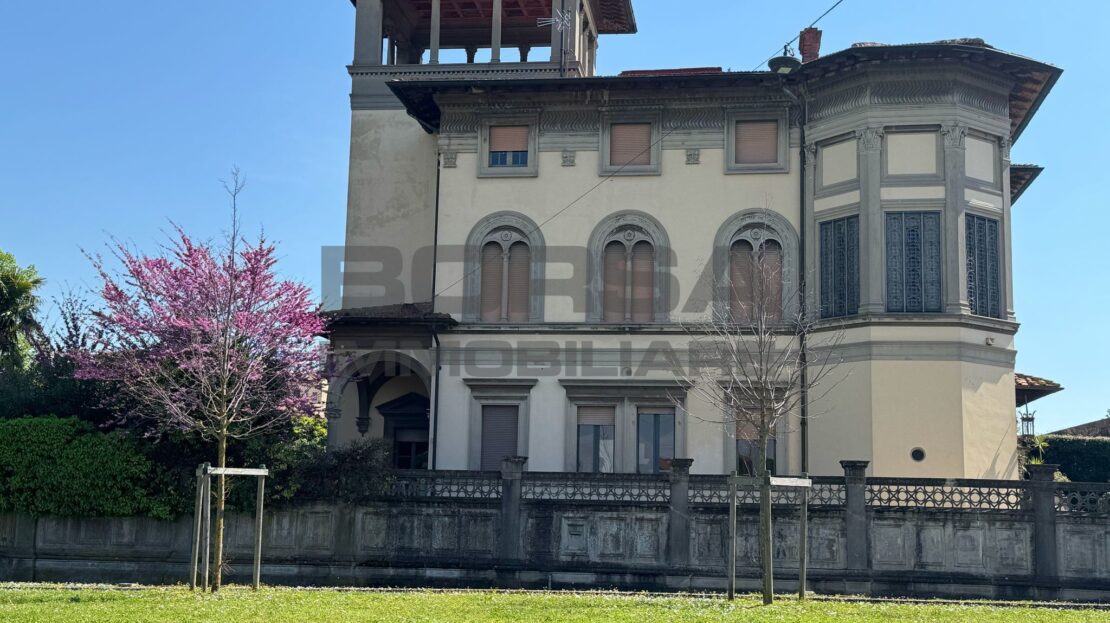 Immagine video
