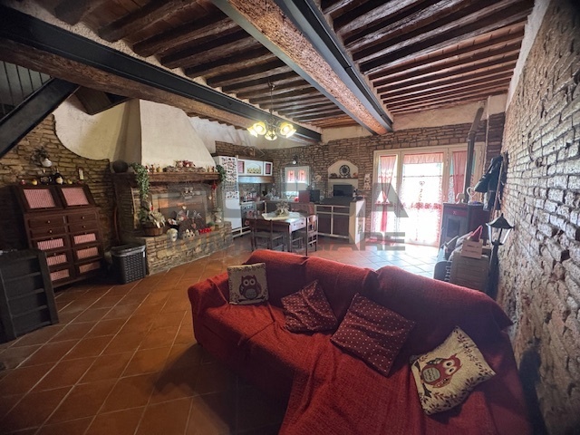 Immagine video