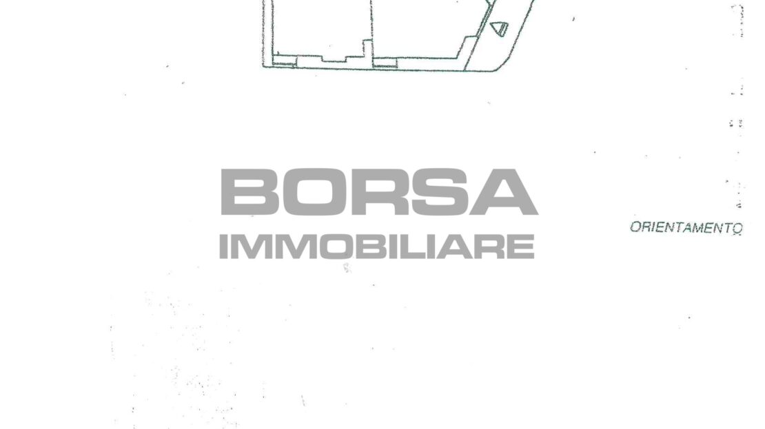 Immagine video