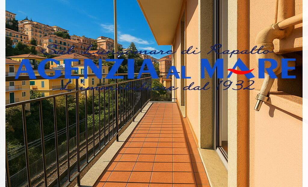 Immagine video