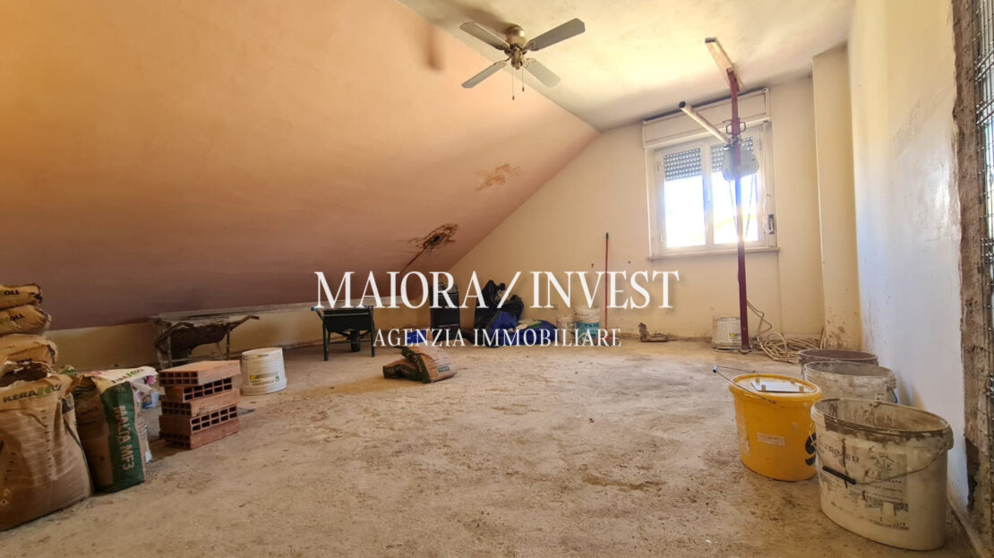 Immagine video