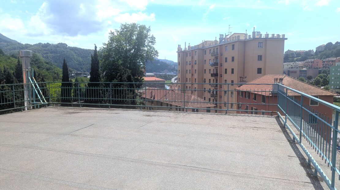 Immagine video
