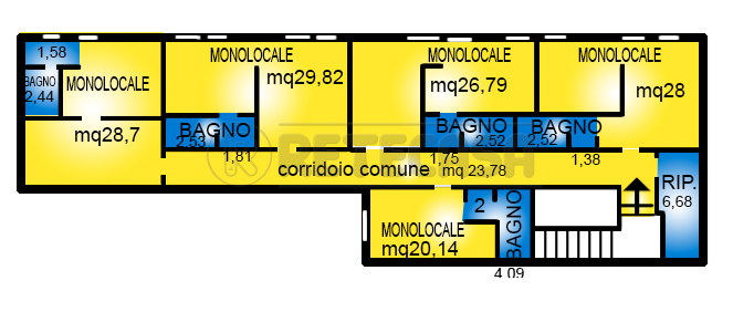 Immagine video