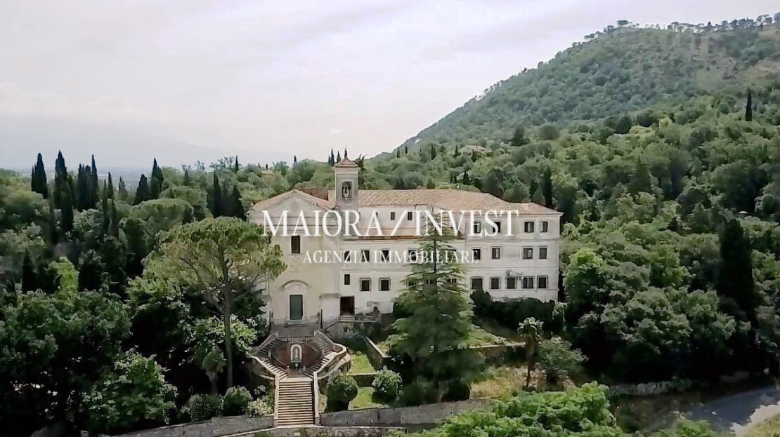 Immagine video