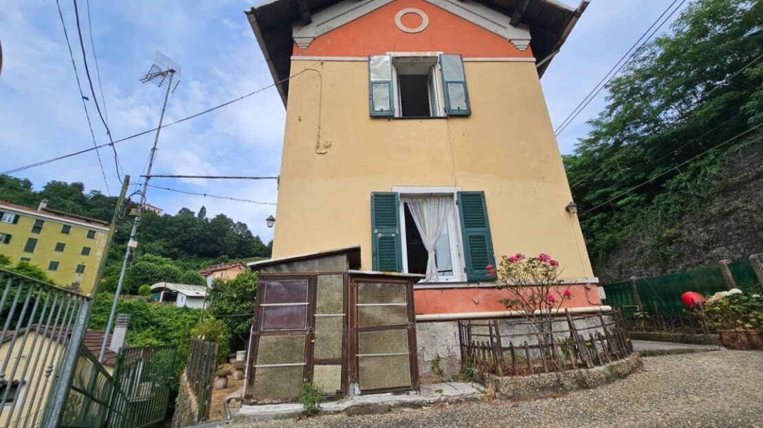 Immagine video