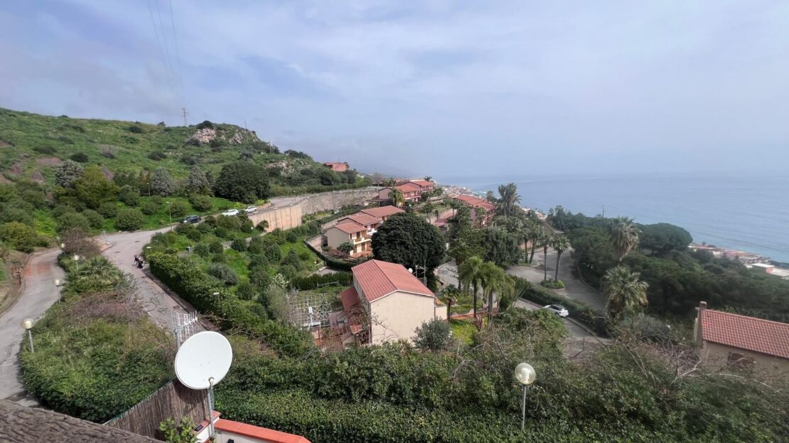 Immagine video