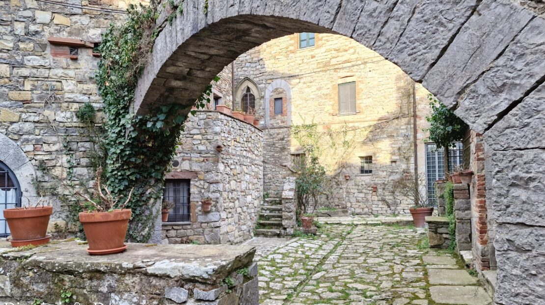 Immagine video