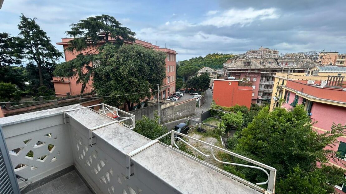 Immagine video