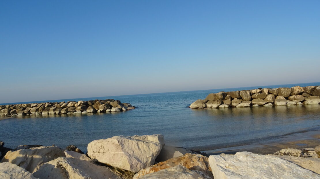 Immagine video
