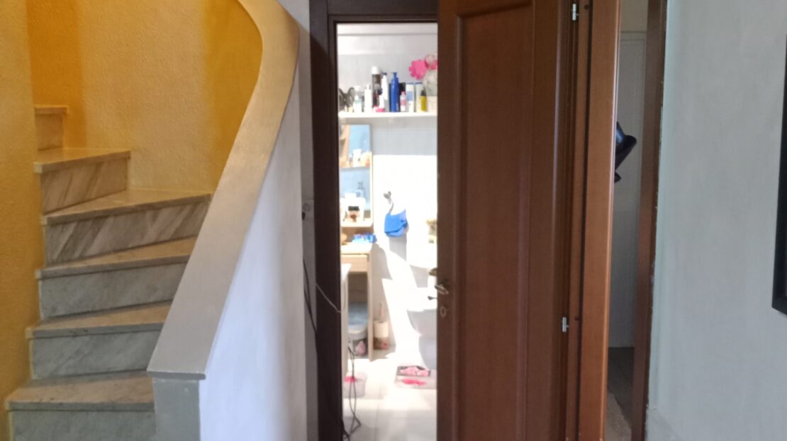 Immagine video