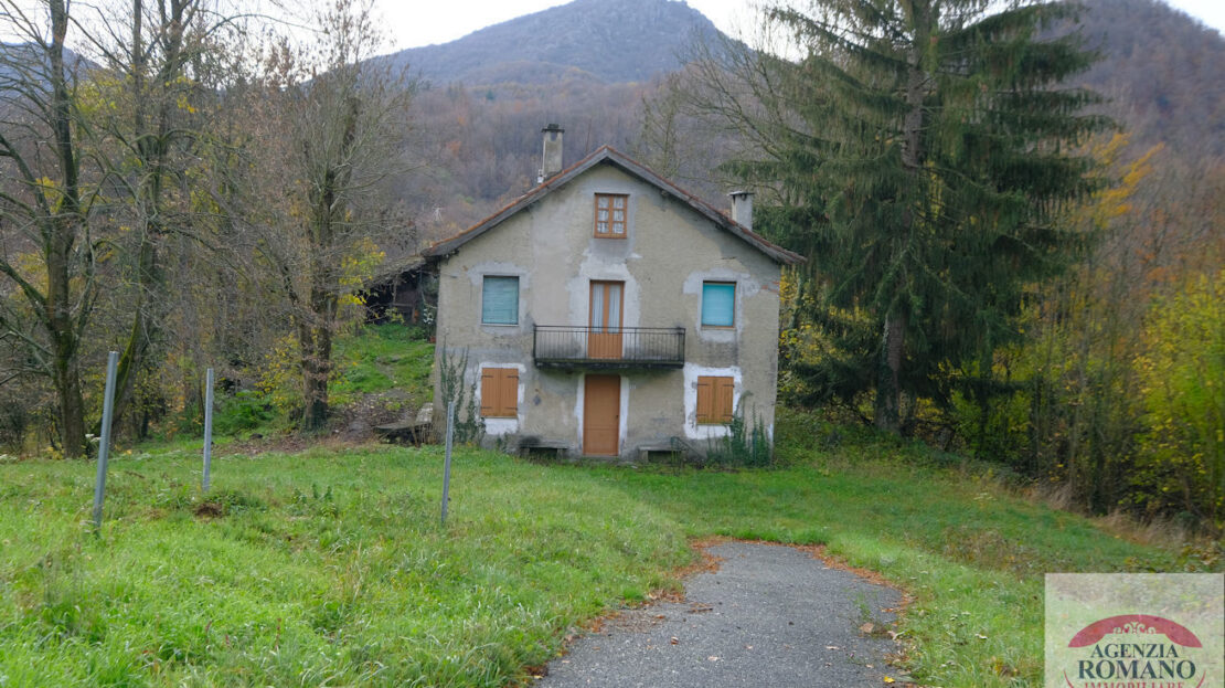 Immagine video