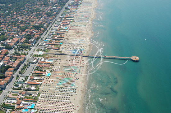 Immagine video