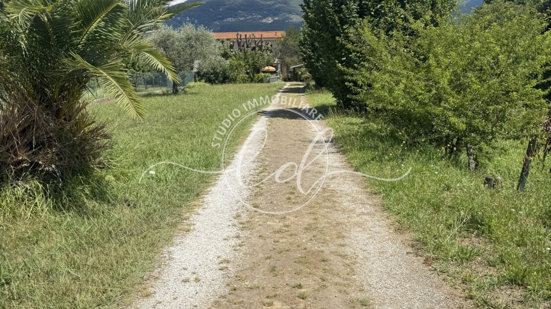 Immagine video