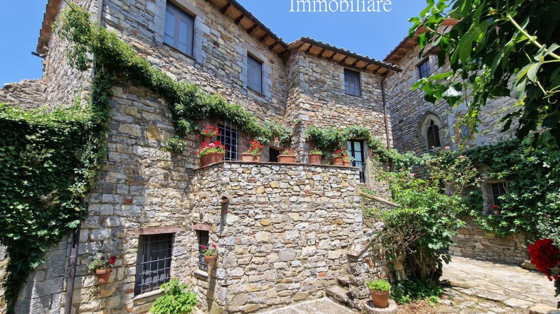 Immagine video