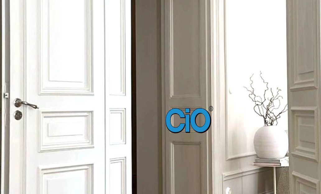 Immagine video