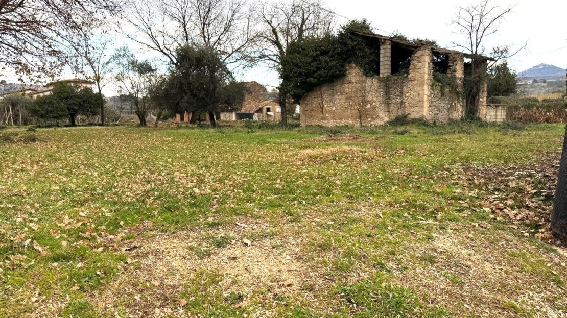 Immagine video