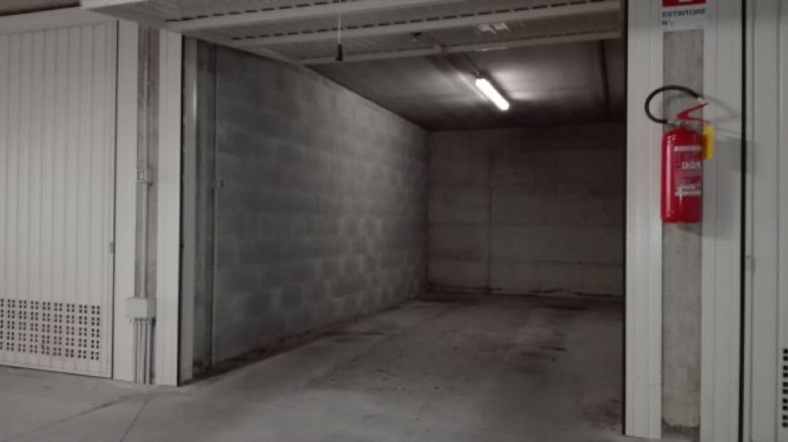 Immagine video