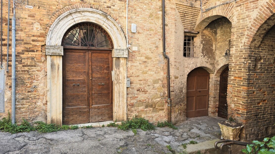 Immagine video