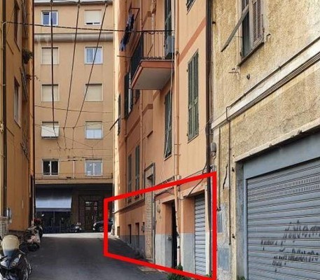 Immagine video