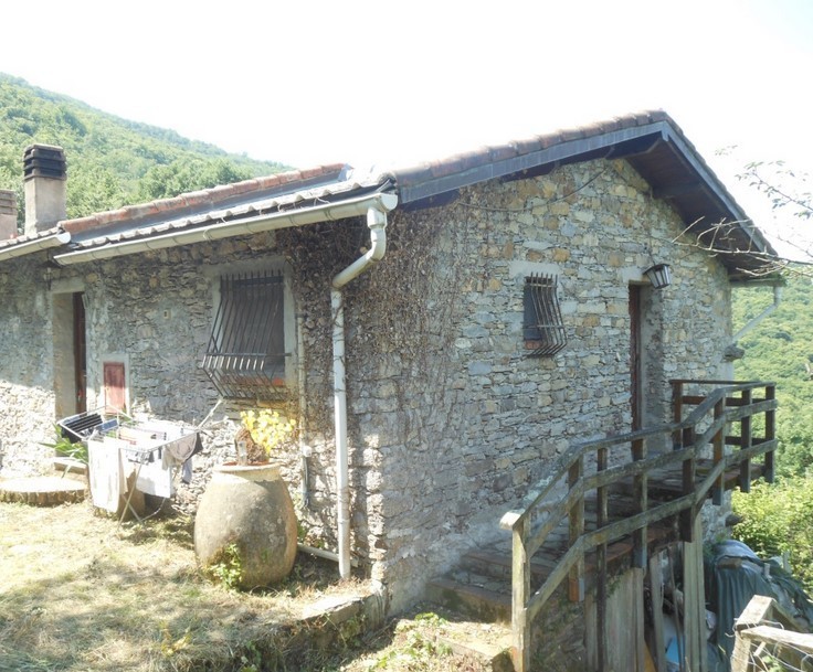 Immagine video