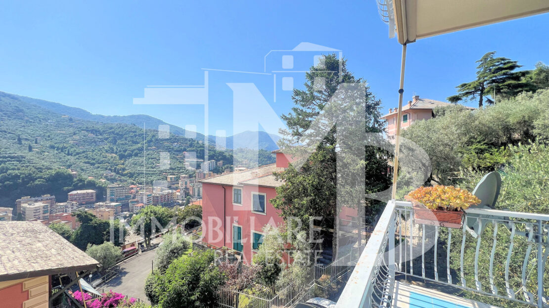 Immagine video