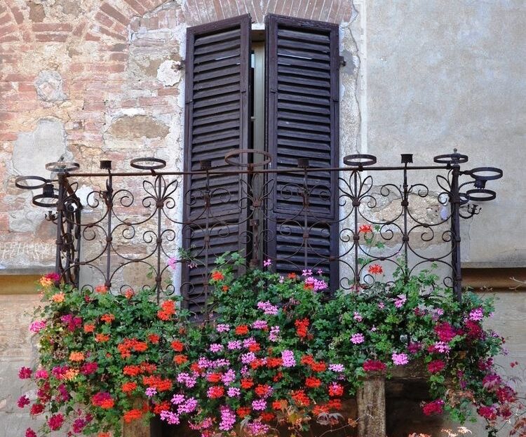 Immagine video