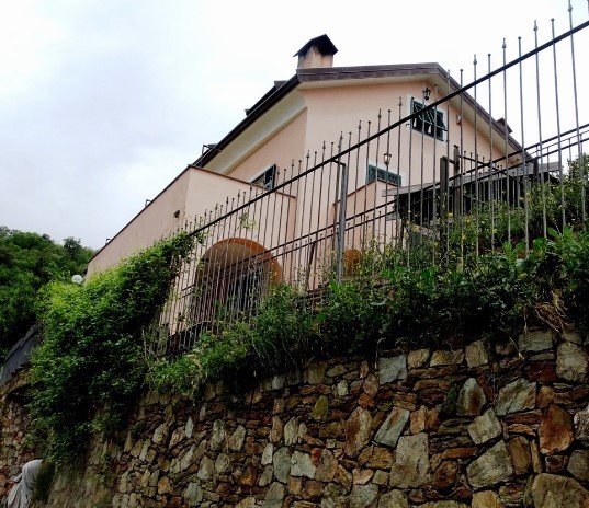 Immagine video