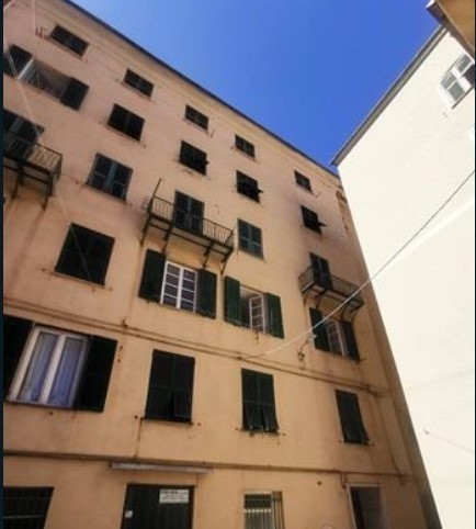 Immagine video