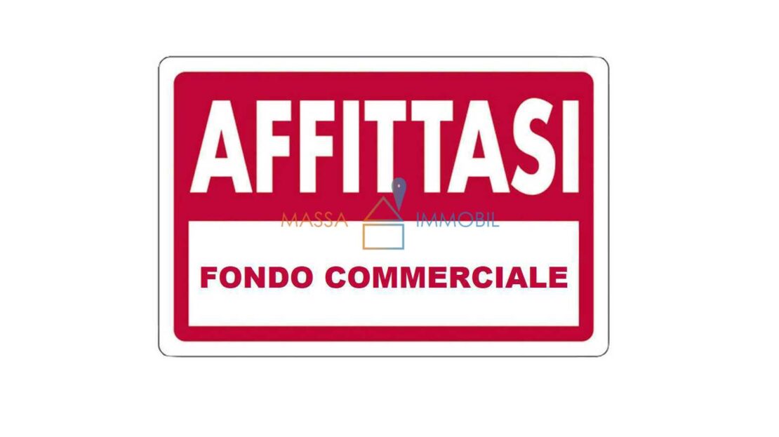 Immagine video