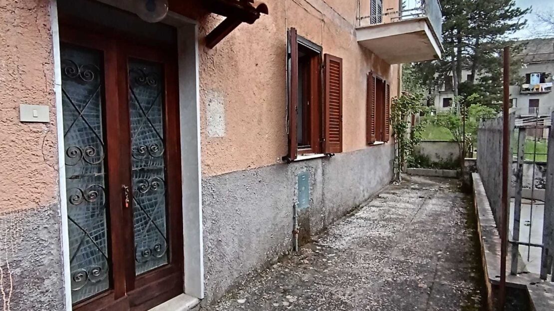 Immagine video